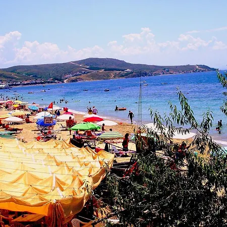 Gunes Yali *