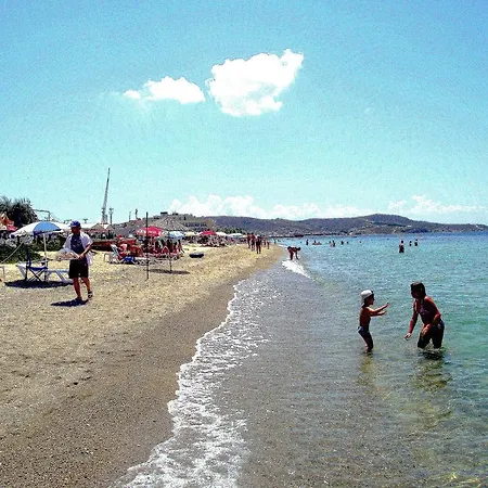 Gunes Yali *
