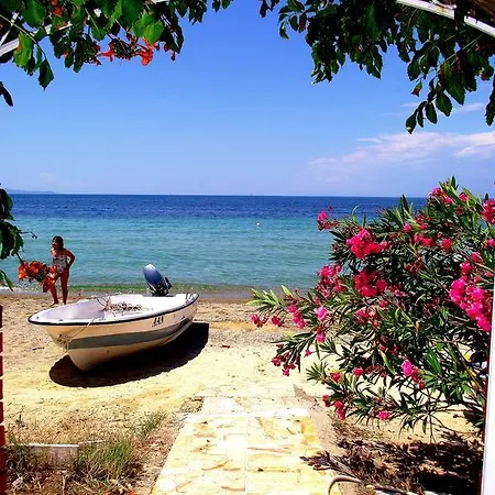 Gunes Yali