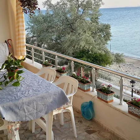 Gunes Yali